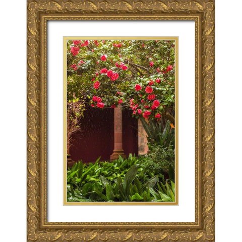 Canary Islands-Tenerife Island-San Cristobal de La Laguna-Convento de San Agustin convent-gardens Gold Ornate Wood Framed Art Print with Double Matting by Bibikow, Walter