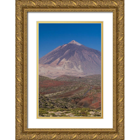 Canary Islands-Tenerife Island-El Teide Mountain-elevated view of Spains highest mountain Gold Ornate Wood Framed Art Print with Double Matting by Bibikow, Walter