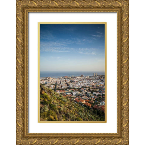 Canary Islands-Tenerife Island-Santa Cruz de Tenerife-elevated view of city and port-late afternoon Gold Ornate Wood Framed Art Print with Double Matting by Bibikow, Walter