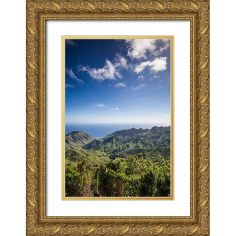 Canary Islands-Tenerife Island-northeast-La Cumbrilla-view of the Anaga Mountains Gold Ornate Wood Framed Art Print with Double Matting by Bibikow, Walter
