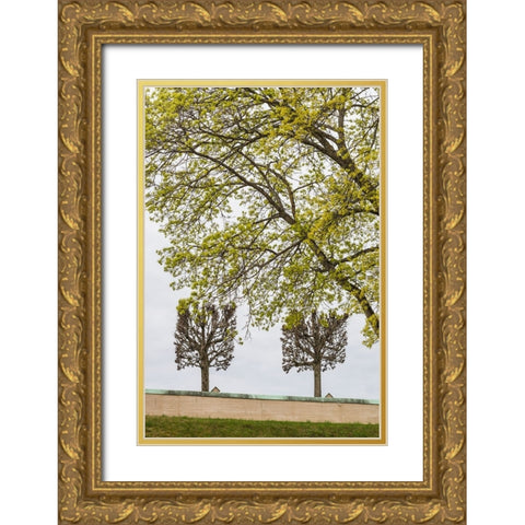 Sweden-Stockholm-trees-early spring Gold Ornate Wood Framed Art Print with Double Matting by Bibikow, Walter