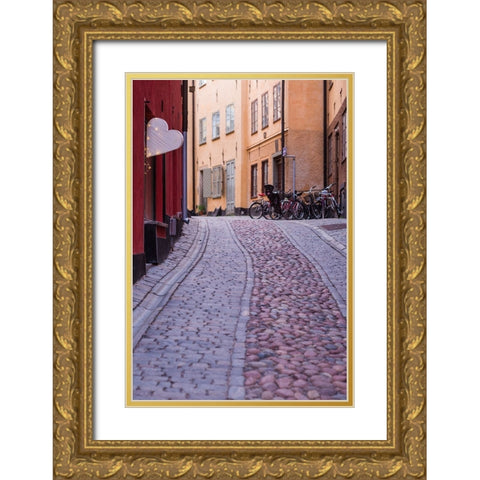 Sweden-Stockholm-Gamla Stan-Old Town-Royal Palace-old town street Gold Ornate Wood Framed Art Print with Double Matting by Bibikow, Walter