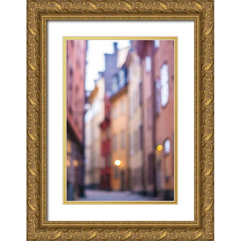 Sweden-Stockholm-Gamla Stan-Old Town-Royal Palace-old town street, Gold Ornate Wood Framed Art Print with Double Matting by Bibikow, Walter