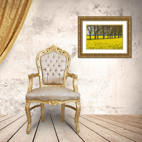 Sweden-Gotland Island-Romakloster-landscape with yellow flowers-springtime Gold Ornate Wood Framed Art Print with Double Matting by Bibikow, Walter