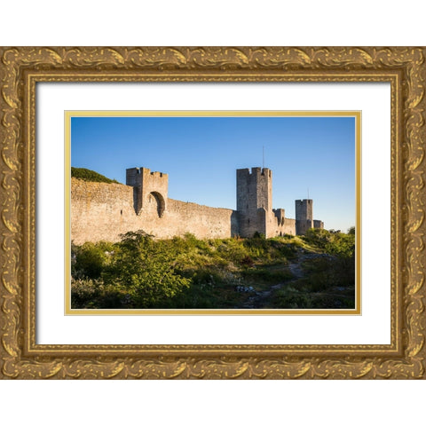 Sweden-Gotland Island-Visby-12th century city wall-most complete medieval city wall in Europe Gold Ornate Wood Framed Art Print with Double Matting by Bibikow, Walter
