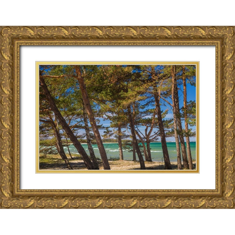 Sweden-Faro Island-Fifang-view of Ajkesvik Bay Gold Ornate Wood Framed Art Print with Double Matting by Bibikow, Walter