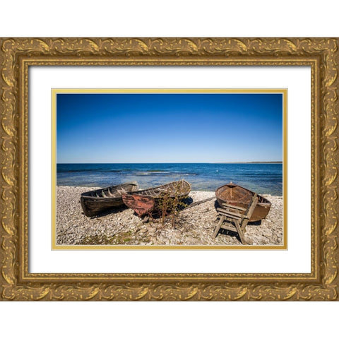 Sweden-Faro Island-Kursviken-coastal farmers fishing boats Gold Ornate Wood Framed Art Print with Double Matting by Bibikow, Walter