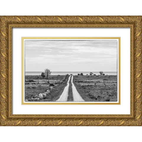 Sweden-Gotland Island-Sundre-country road-southern Gotland Gold Ornate Wood Framed Art Print with Double Matting by Bibikow, Walter