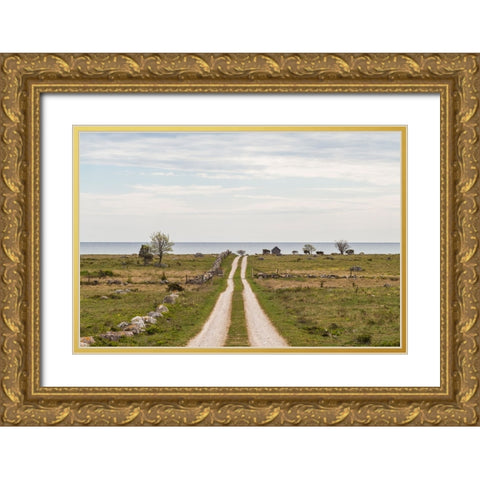 Sweden-Gotland Island-Sundre-country road-southern Gotland Gold Ornate Wood Framed Art Print with Double Matting by Bibikow, Walter