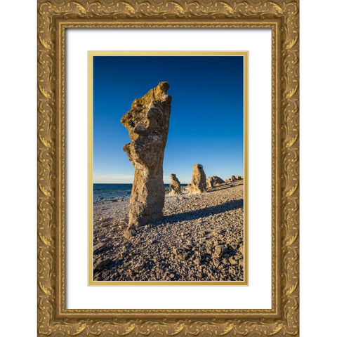 Sweden-Faro Island-Langhammars Area-Langhammar coastal limestone rauk rock-sunset Gold Ornate Wood Framed Art Print with Double Matting by Bibikow, Walter