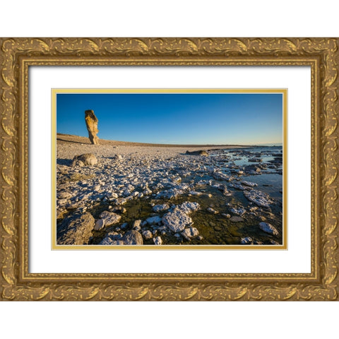 Sweden-Faro Island-Langhammars Area-Langhammar coastal limestone rauk rock-sunset Gold Ornate Wood Framed Art Print with Double Matting by Bibikow, Walter