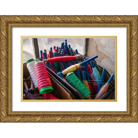 Sweden-Norrkoping-former mill town-thread used in cloth production Gold Ornate Wood Framed Art Print with Double Matting by Bibikow, Walter