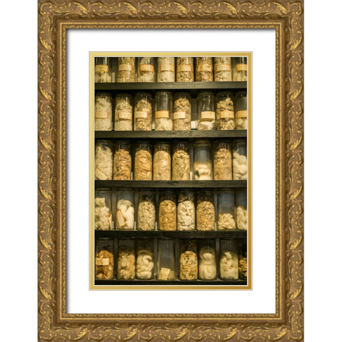 Sweden-Norrkoping-former mill town-cotton samples Gold Ornate Wood Framed Art Print with Double Matting by Bibikow, Walter