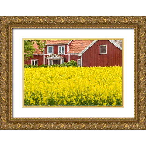 Sweden-Lake Vattern Area-Renstad-farm-springtime Gold Ornate Wood Framed Art Print with Double Matting by Bibikow, Walter