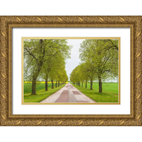 Sweden-Lake Vattern Area-country road-springtime Gold Ornate Wood Framed Art Print with Double Matting by Bibikow, Walter