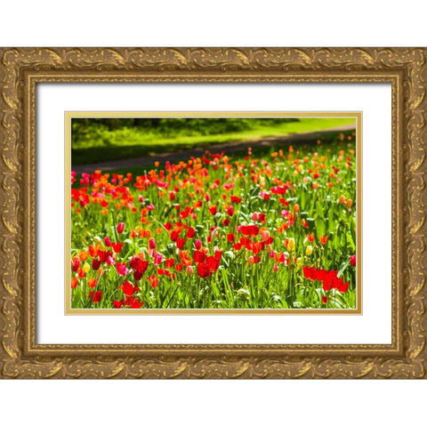 Sweden-Oland Island-Borgholm-Solliden Slott palace-Swedish Royal Family summer palace-palace garden Gold Ornate Wood Framed Art Print with Double Matting by Bibikow, Walter