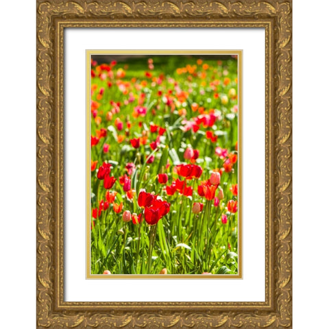 Sweden-Oland Island-Borgholm-Solliden Slott palace-Swedish Royal Family summer palace-palace garden Gold Ornate Wood Framed Art Print with Double Matting by Bibikow, Walter