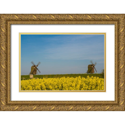 Sweden-Oland Island-Lerkaka-antique wooden windmills Gold Ornate Wood Framed Art Print with Double Matting by Bibikow, Walter