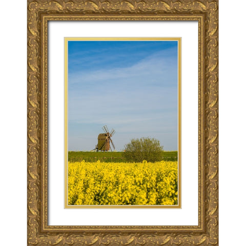 Sweden-Oland Island-Lerkaka-antique wooden windmills Gold Ornate Wood Framed Art Print with Double Matting by Bibikow, Walter