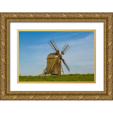 Sweden-Oland Island-Lerkaka-antique wooden windmills Gold Ornate Wood Framed Art Print with Double Matting by Bibikow, Walter