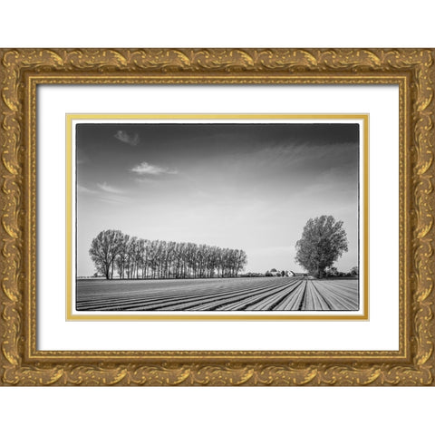 Southern Sweden-Kaseberga-plowed field-springtime Gold Ornate Wood Framed Art Print with Double Matting by Bibikow, Walter