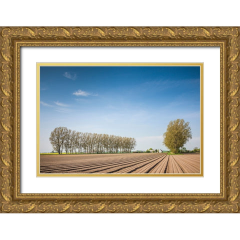 Southern Sweden-Kaseberga-plowed field-springtime Gold Ornate Wood Framed Art Print with Double Matting by Bibikow, Walter