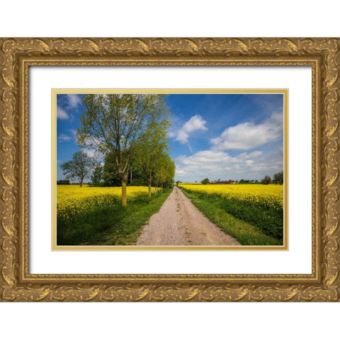 Southern Sweden-Boste lage-country road with yellow flowers-springtime Gold Ornate Wood Framed Art Print with Double Matting by Bibikow, Walter