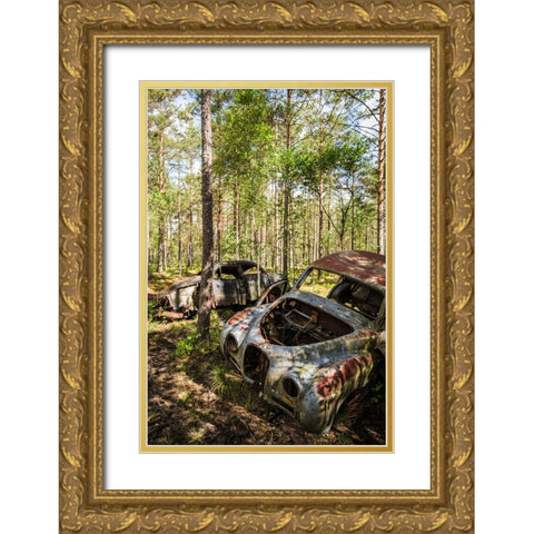 Sweden-Smaland-Ryd-Kyrko Mosse Car Cemetery-former junkyard now pubic park-junked cars Gold Ornate Wood Framed Art Print with Double Matting by Bibikow, Walter