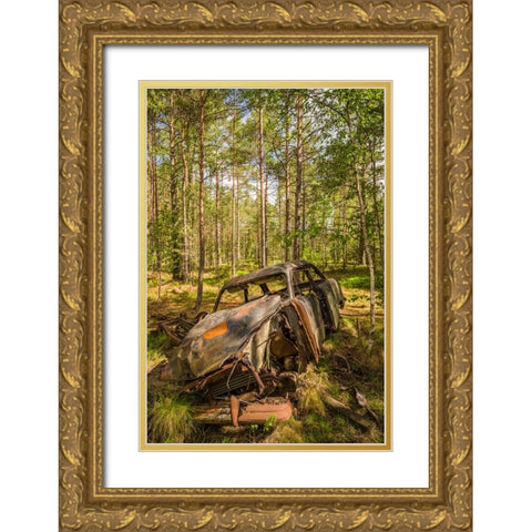 Sweden-Smaland-Ryd-Kyrko Mosse Car Cemetery-former junkyard now pubic park-junked cars Gold Ornate Wood Framed Art Print with Double Matting by Bibikow, Walter
