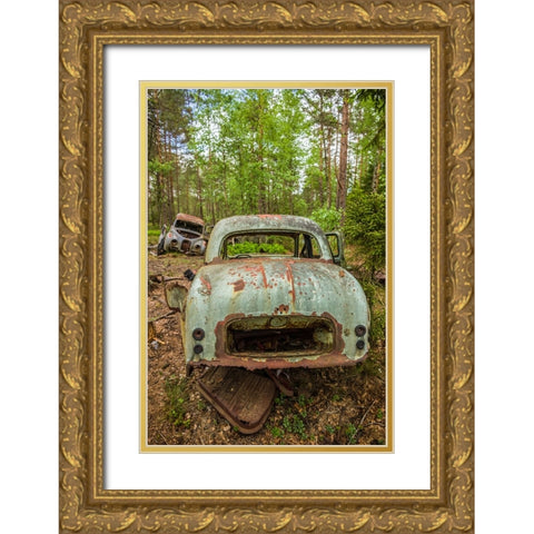 Sweden-Smaland-Ryd-Kyrko Mosse Car Cemetery-former junkyard now pubic park-junked cars Gold Ornate Wood Framed Art Print with Double Matting by Bibikow, Walter
