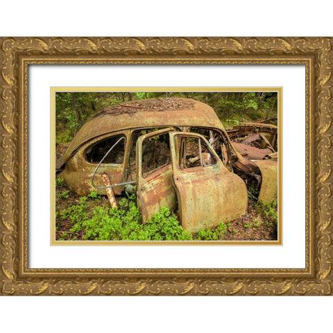 Sweden-Smaland-Ryd-Kyrko Mosse Car Cemetery-former junkyard now pubic park-junked cars Gold Ornate Wood Framed Art Print with Double Matting by Bibikow, Walter