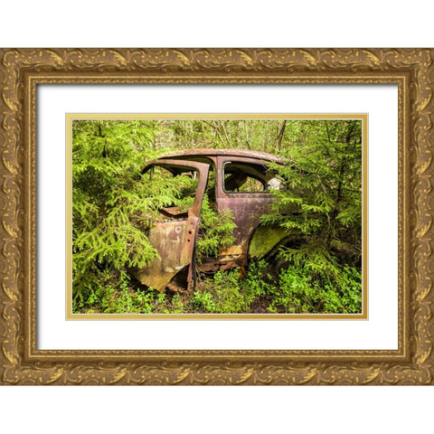 Sweden-Smaland-Ryd-Kyrko Mosse Car Cemetery-former junkyard now pubic park-junked cars Gold Ornate Wood Framed Art Print with Double Matting by Bibikow, Walter