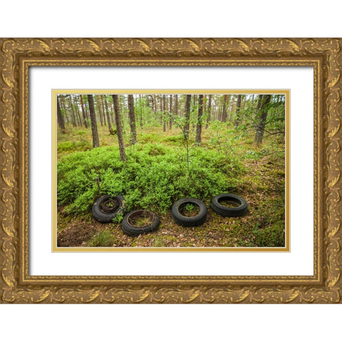Sweden-Smaland-Ryd-Kyrko Mosse Car Cemetery-former junkyard now pubic park-old tires Gold Ornate Wood Framed Art Print with Double Matting by Bibikow, Walter