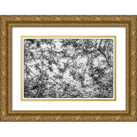 Sweden-Scania-Molle-Krapperups Slott castle-ancient home of the Gyllenstierna family-public garden- Gold Ornate Wood Framed Art Print with Double Matting by Bibikow, Walter