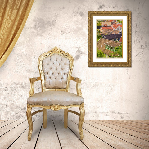 Sweden-Scania-Arild-high angle village view Gold Ornate Wood Framed Art Print with Double Matting by Bibikow, Walter