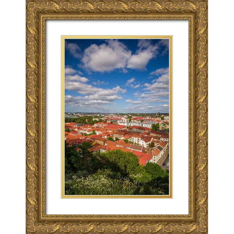 Sweden-Vastragotland and Bohuslan-Gothenburg-high angle city view from the Skansparken-late afterno Gold Ornate Wood Framed Art Print with Double Matting by Bibikow, Walter