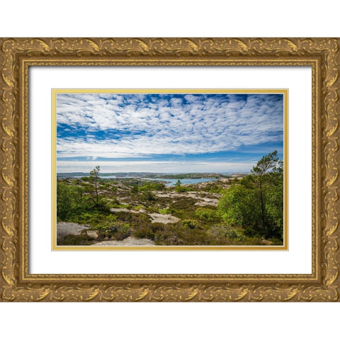 Sweden-Bohuslan-Fjallbacka-the Vetteberget cliff Gold Ornate Wood Framed Art Print with Double Matting by Bibikow, Walter