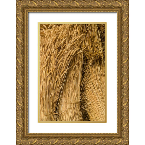 Sweden-Bohuslan-Tanumshede-cut wheat Gold Ornate Wood Framed Art Print with Double Matting by Bibikow, Walter