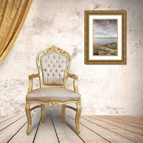 Sweden-Bohuslan-Salto Island-rocky cove seascape Gold Ornate Wood Framed Art Print with Double Matting by Bibikow, Walter