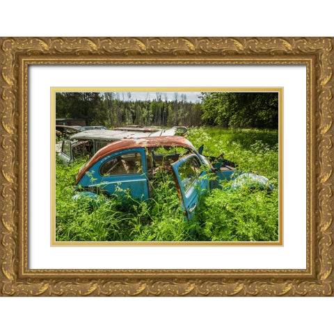 Sweden-Varmland-Bastnas-Bastnas Car Cemetery public park-antique car junkyard Gold Ornate Wood Framed Art Print with Double Matting by Bibikow, Walter
