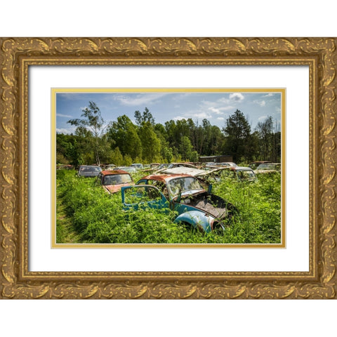 Sweden-Varmland-Bastnas-Bastnas Car Cemetery public park-antique car junkyard Gold Ornate Wood Framed Art Print with Double Matting by Bibikow, Walter