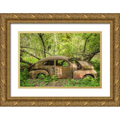 Sweden-Varmland-Bastnas-Bastnas Car Cemetery public park-antique car junkyard Gold Ornate Wood Framed Art Print with Double Matting by Bibikow, Walter