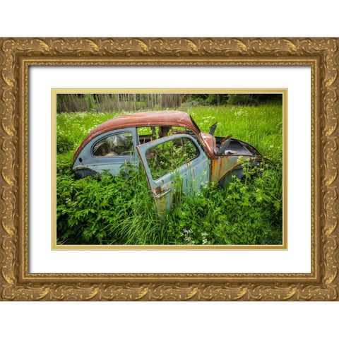 Sweden-Varmland-Bastnas-Bastnas Car Cemetery public park-antique car junkyard Gold Ornate Wood Framed Art Print with Double Matting by Bibikow, Walter