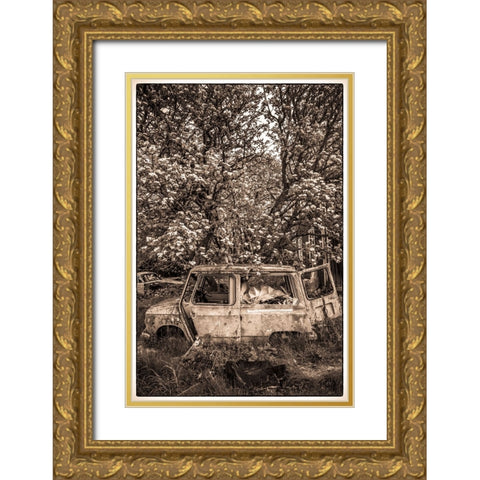 Sweden-Varmland-Bastnas-Bastnas Car Cemetery public park-antique car junkyard Gold Ornate Wood Framed Art Print with Double Matting by Bibikow, Walter