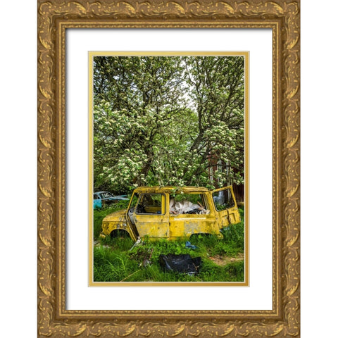 Sweden-Varmland-Bastnas-Bastnas Car Cemetery public park-antique car junkyard Gold Ornate Wood Framed Art Print with Double Matting by Bibikow, Walter