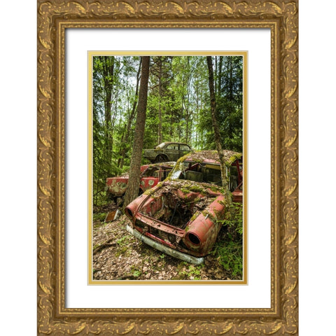 Sweden-Varmland-Bastnas-Bastnas Car Cemetery public park-antique car junkyard Gold Ornate Wood Framed Art Print with Double Matting by Bibikow, Walter