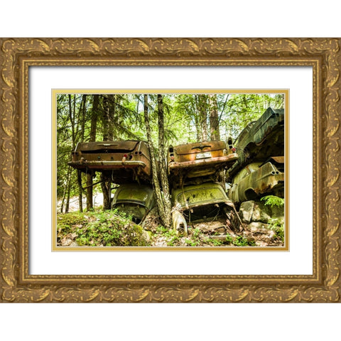 Sweden-Varmland-Bastnas-Bastnas Car Cemetery public park-antique car junkyard Gold Ornate Wood Framed Art Print with Double Matting by Bibikow, Walter