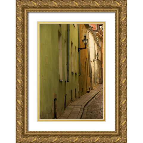 Estonia, Tallinn Narrow cobblestone street  Gold Ornate Wood Framed Art Print with Double Matting by Ross, Nancy ,  Steve