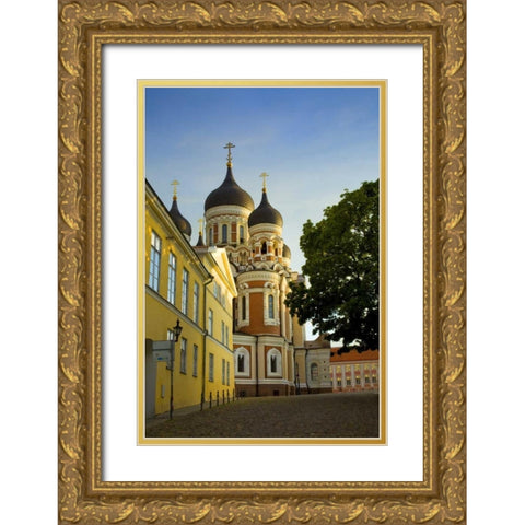Estonia, Tallinn Alexander Nevsky Cathedral Gold Ornate Wood Framed Art Print with Double Matting by Zuckerman, Jim