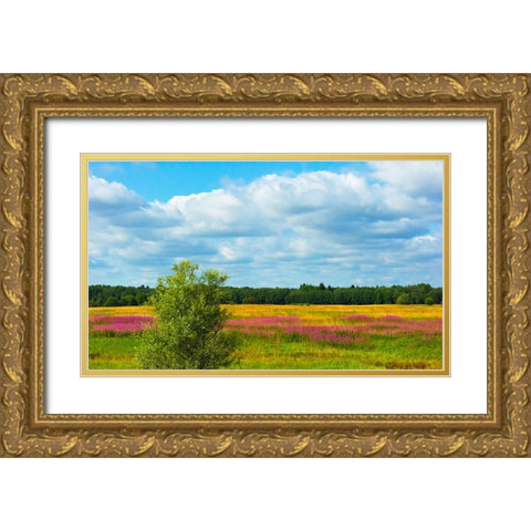 Farmland and flower fields-Estonia Gold Ornate Wood Framed Art Print with Double Matting by Su, Keren
